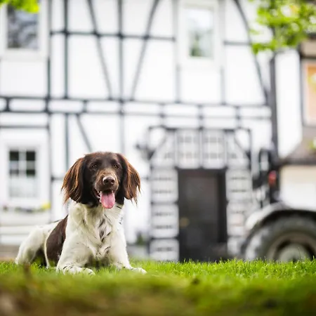Vakantiehuis Hof Koehne - Haus An Der Weide Links *