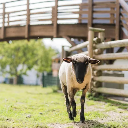 Hof Koehne - Haus An Der Weide Links Prázdninový dům Schmallenberg