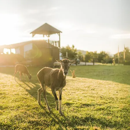 Hof Koehne - Haus An Der Weide Links *