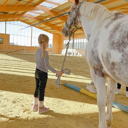 Prázdninový dům Hof Koehne - Haus An Der Weide Links *