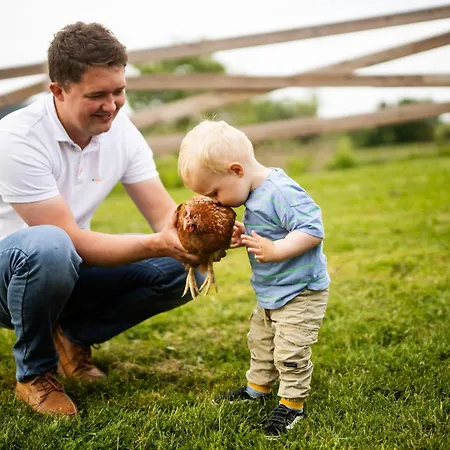 Prázdninový dům Hof Koehne - Haus An Der Weide Links Schmallenberg