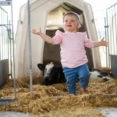 Prázdninový dům Hof Koehne - Haus An Der Weide Links *