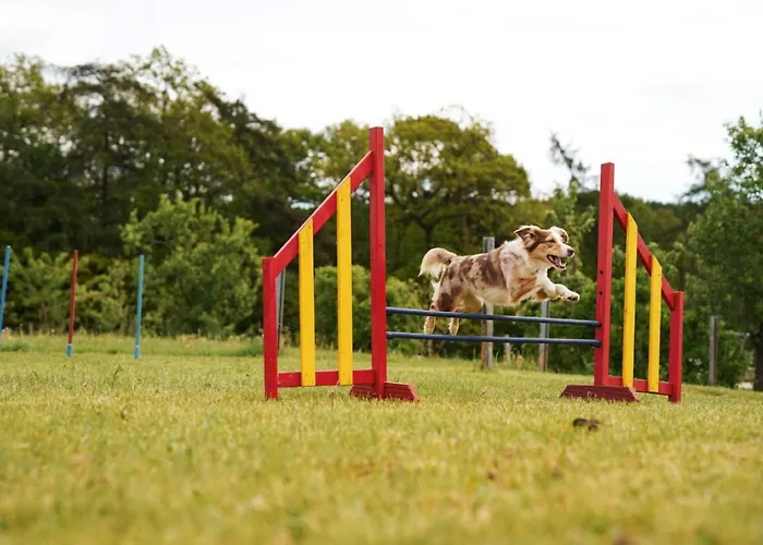 Hof Koehne - Haus An Der Weide Links Nyaraló *