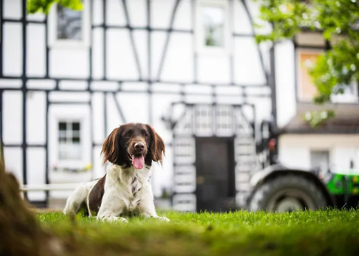 Nyaraló Hof Koehne - Haus An Der Weide Links *