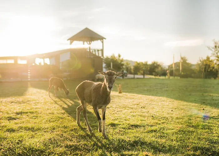 Hof Koehne - Haus An Der Weide Links *
